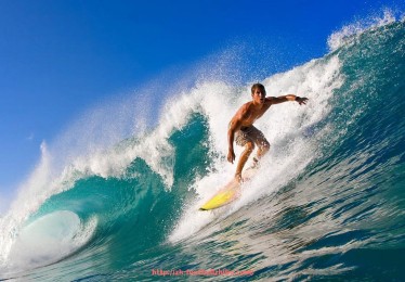 足球直播-德甲联赛中瑞典球星曾效力的球队盘点