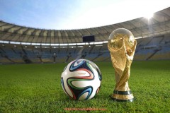 足球直播-世俱杯球场介绍专栏：比赛场地背景、容量与地理位置